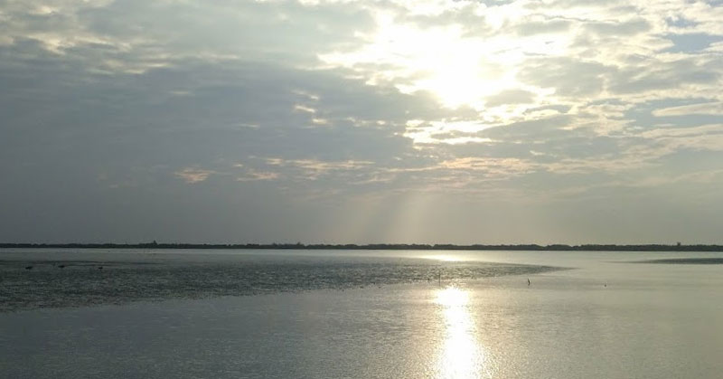 黑面琵鷺賞鳥亭